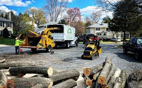 Best Commercial Tree Services  in Gridley, CA